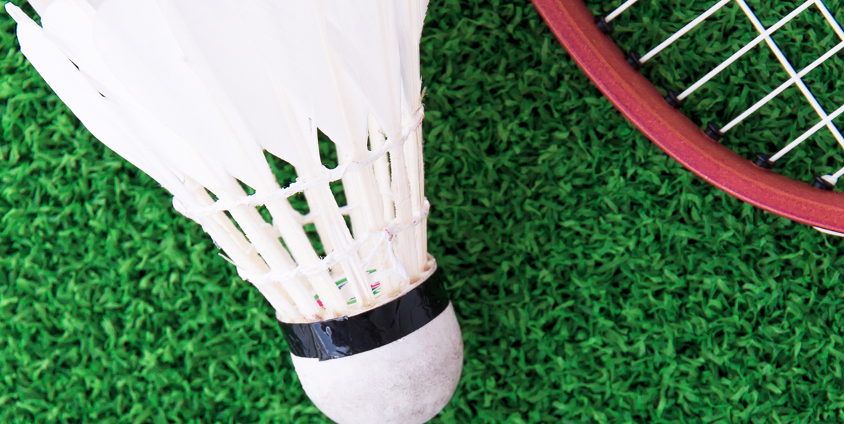 Bedminton leto